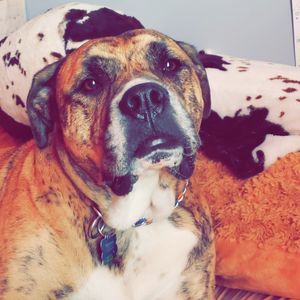 Meet your Posher, Christiana